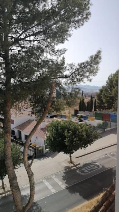 Views, Family & Private Parking In Alto Albayzin Apartman Granada Kültér fotó